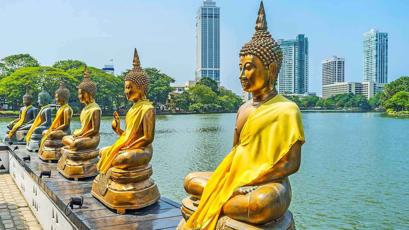 Hill Country Wonders 5